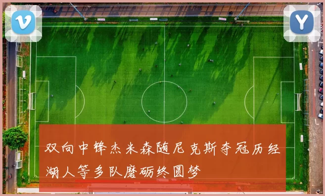 双向中锋杰米森随尼克斯夺冠历经湖人等多队磨砺终圆梦